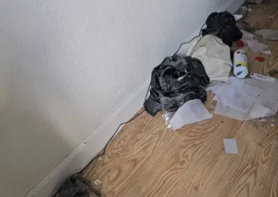 Expert House Cleaner